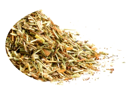 Zioło PRZYTULIA WŁAŚCIWA ZIELE galium verum L.