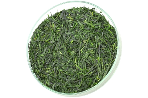 Herbata Zielona JAPAN SENCHA SATSUMA PREMIUM