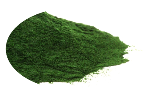 Spirulina Proszek spirulina platensis