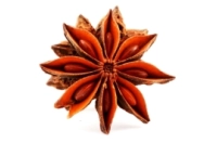 Przyprawa Świąteczna ANYŻ GWIAZDKOWY CAŁY SELEKCJONOWANY